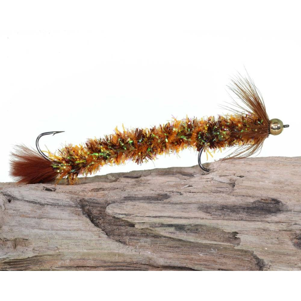 Cactus børsteormsflue - Brown