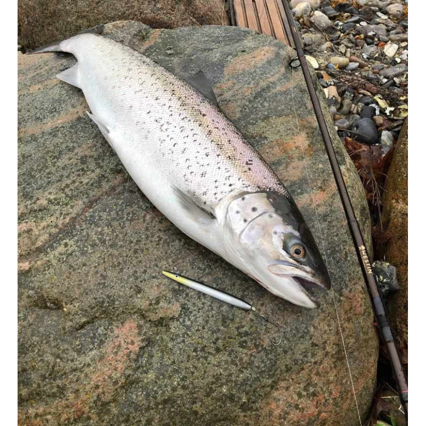 Westin Sømmet 28 g - 12cm gennemløber
