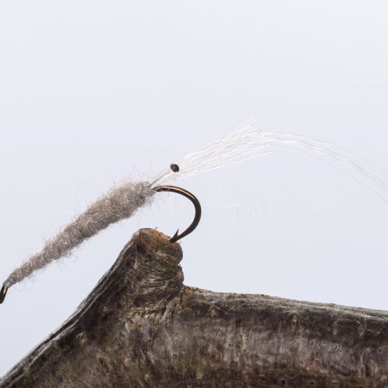 Grey Shrimp Rejeflue