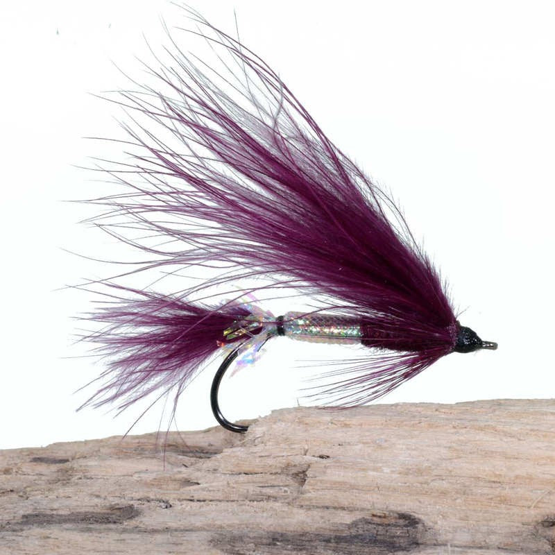 P.K. Flash No. 9 Kystflue