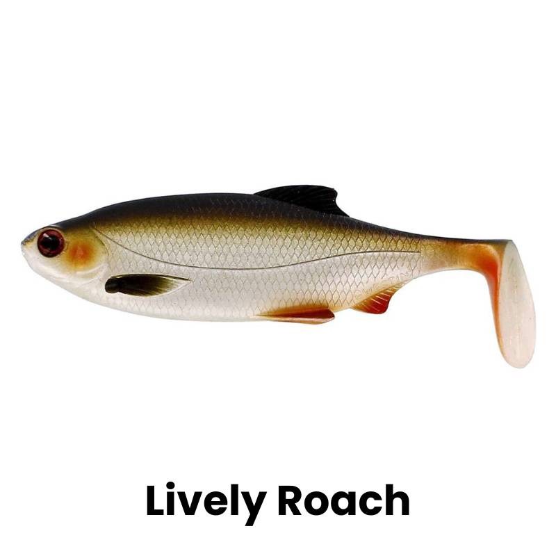 Westin Ricky The Roach Shadtail 2-Pak