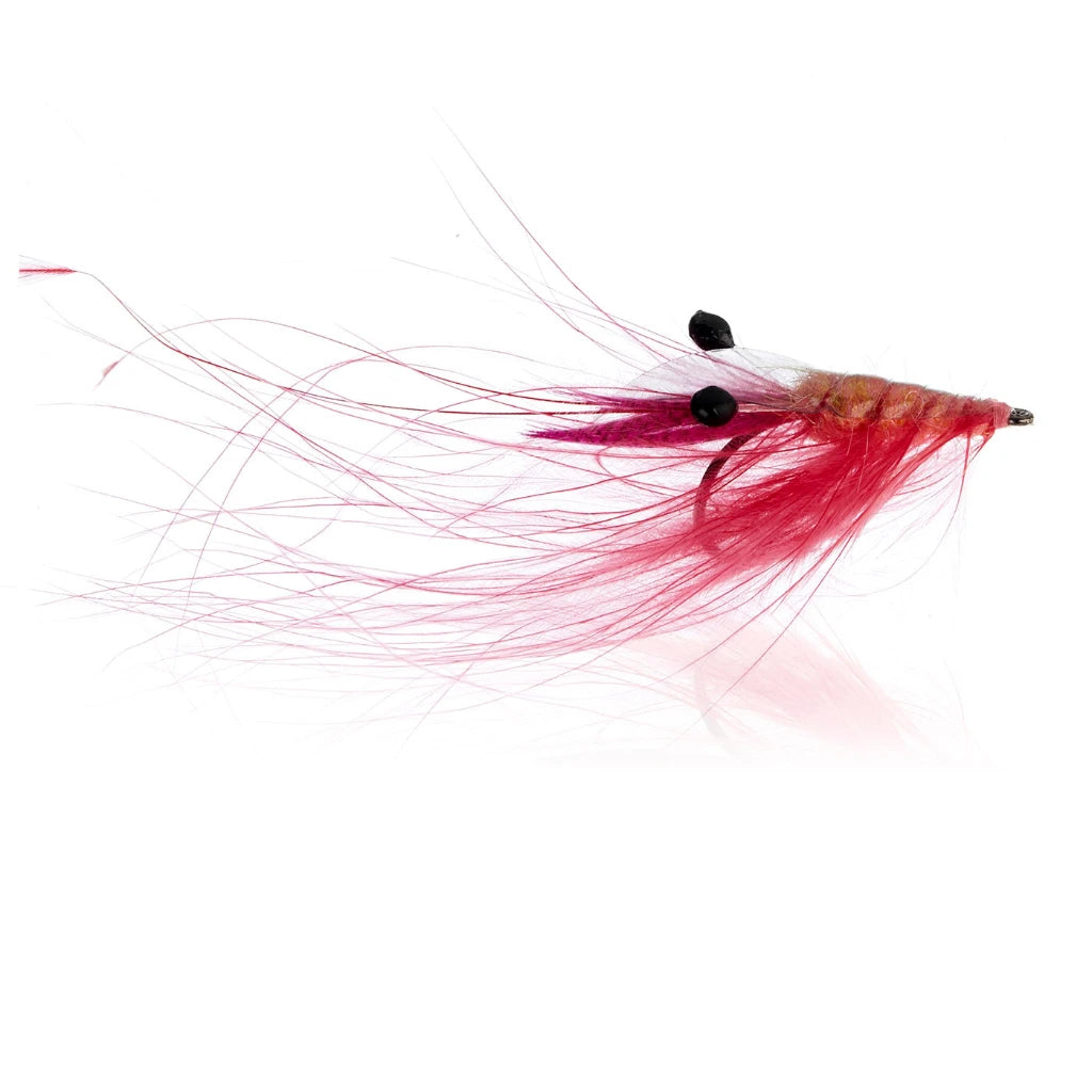 Crangon Shrimp Pink Rejeflue