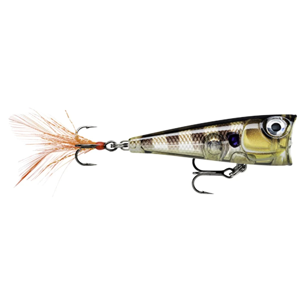 Rapala X-Light Pop