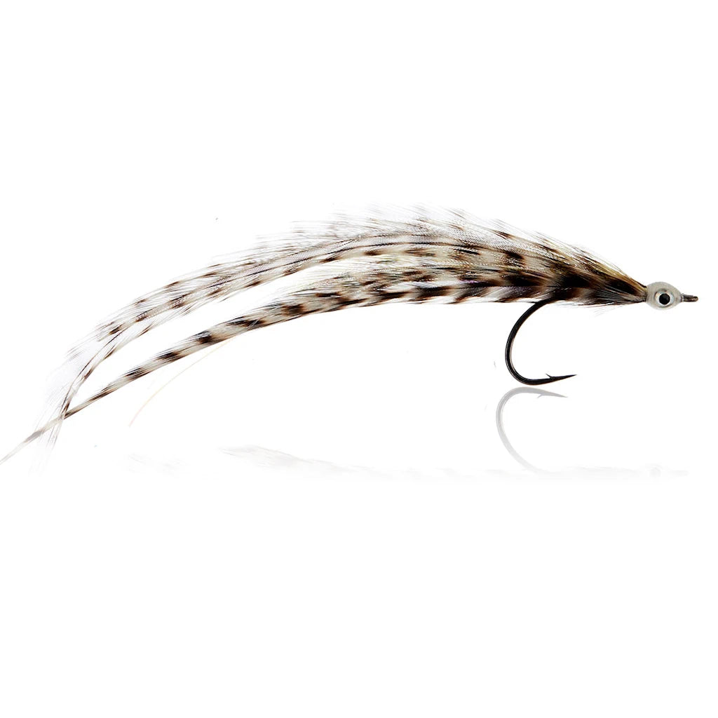 Flatwing Tobis Kystflue
