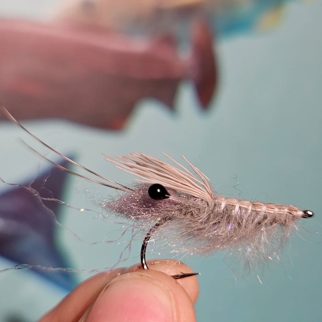 Autumn Shrimp Rejeflue - A. Jensen Havørredfluer